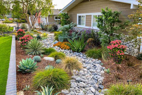 Front yard with landscaped creek bed, dry-weather plants and colorful flowers