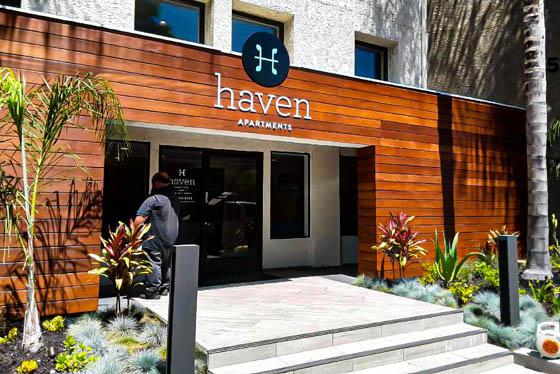 Wood facade, masonry steps, and various palms, succulents, and grasses beautifying building entry