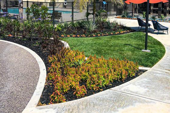 Mastery of poured concrete curves to create green spaces that please the eye with succulents, turf, and local landscaping